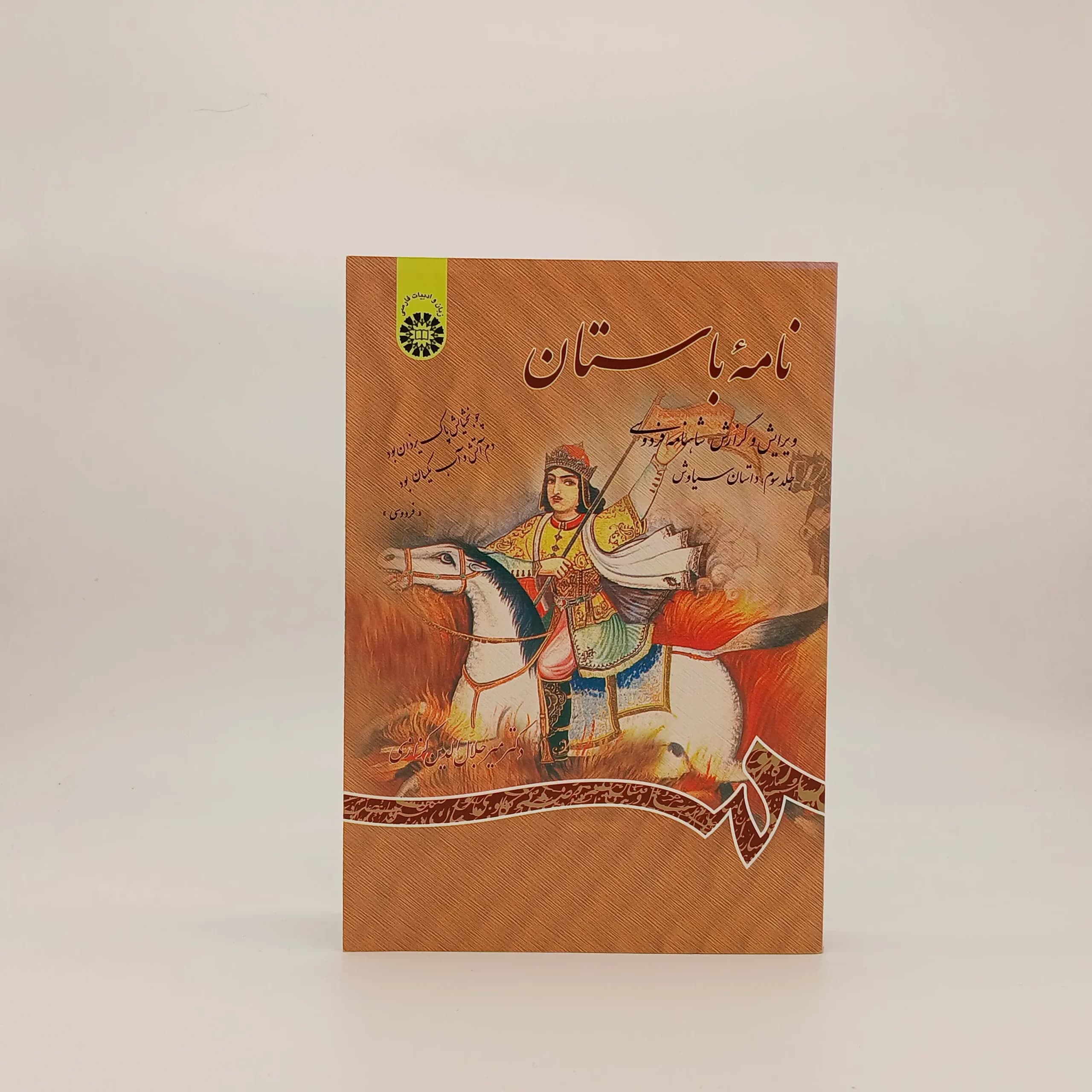 نامه باستان: ویرایش و گزارش شاهنامه فردوسی (دوره نه جلدی)