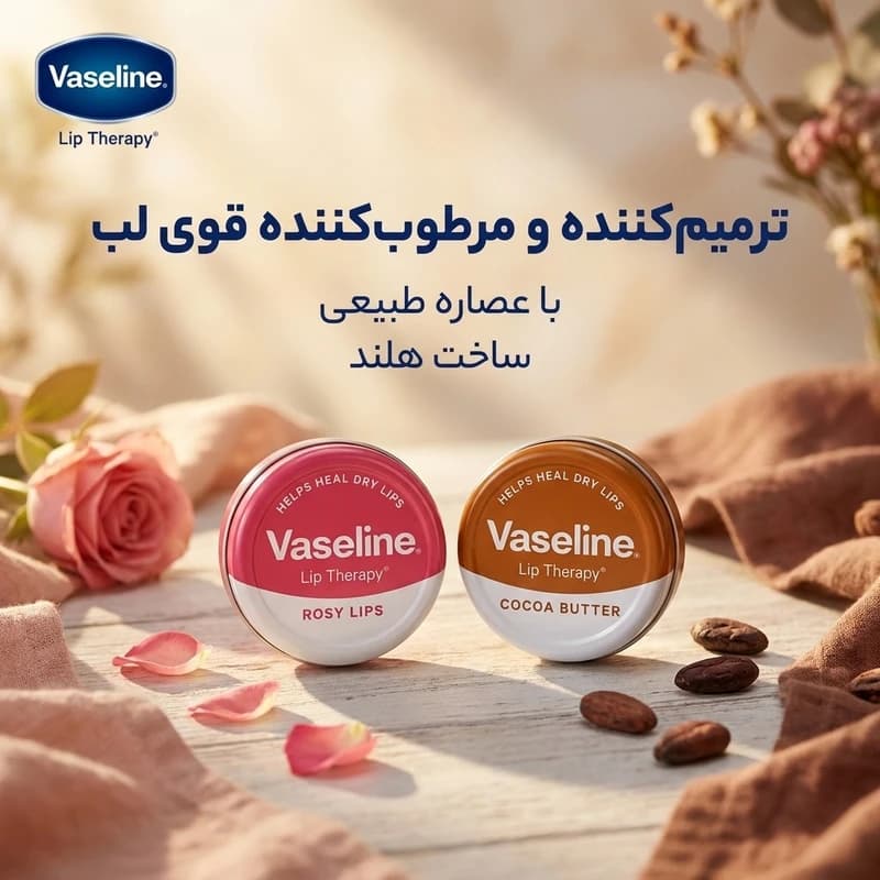 بالم لب وازلین مدل Rose و Coco کاسه‌ای با عصاره طبیعی، ترمیم‌کننده و مرطوب‌کننده قوی لب، ساخت هلند — تصویر ۲