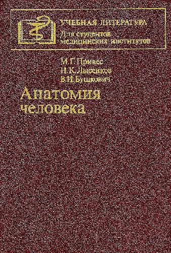 دانلود کتاب Анатомия человека. Учебник для медицинских вузов и факультетов