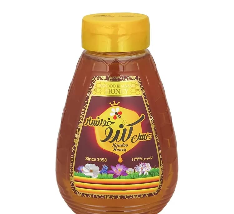 عسل کندو خوانسار وزن 800 گرم