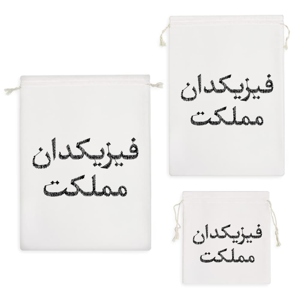 کیسه نظم دهنده فیزیکدان مملکت