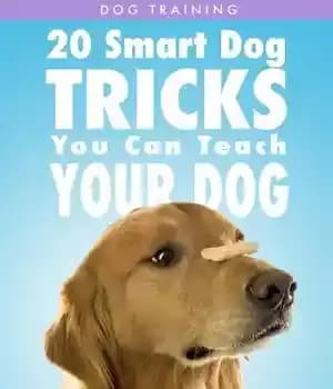 دانلود کتاب Dog Training: 20 Smart Tricks You Can Teach Your