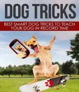 دانلود کتاب Dog Tricks: Best smart tricks to teach your in record time