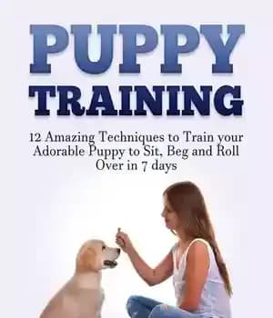 دانلود کتاب Puppy Training: 12 Amazing Techniques to Train your Adorable Sit, Beg and Roll Over in 7