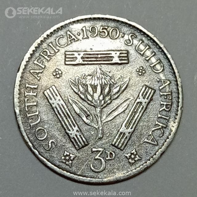 سکه نقره 3 پنس آفریقای جنوبی مستعمره بریتانیا 1950 (جرج ششم)
