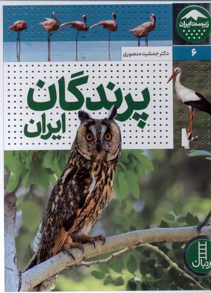 زيست ايران(6)پرندگانايران(نردبان)#