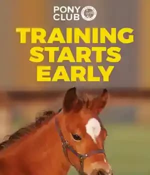 دانلود کتاب TRAINING STARTS EARLY: THE PONY CLUB’S GUIDE TO BACKING AND BRINGING ON YOUNG HORSES PONIES