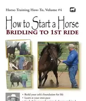 دانلود کتاب How to Start a Horse