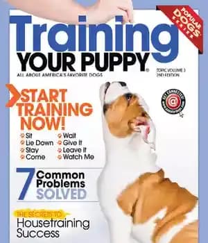 دانلود کتاب Training your Puppy