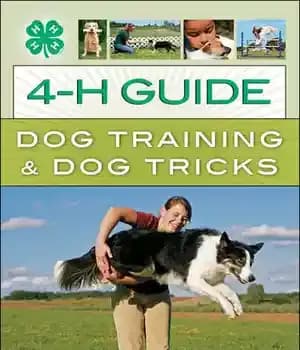 دانلود کتاب 4-H Guide to Dog Training & Tricks