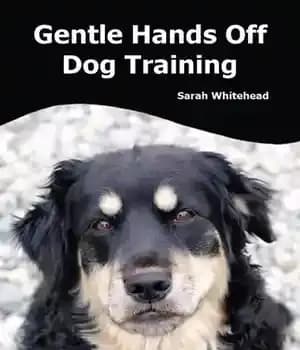 دانلود کتاب Gentle Hands Off Dog Training: Dogwise Solutions