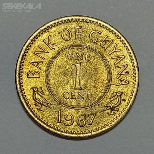 سکه بسیار کمیاب 1 سنت گویان 1967
