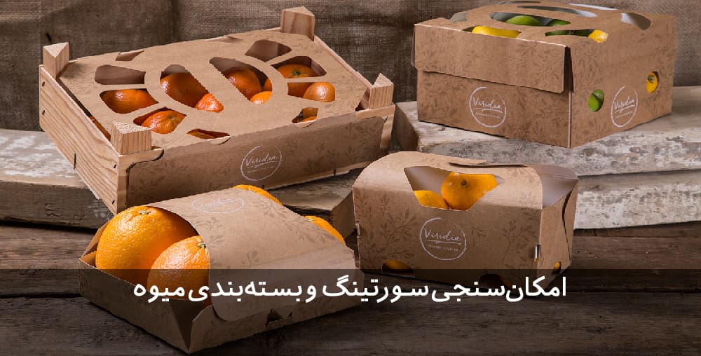 طرح توجیهی سورتینگ میوه | مرکبات