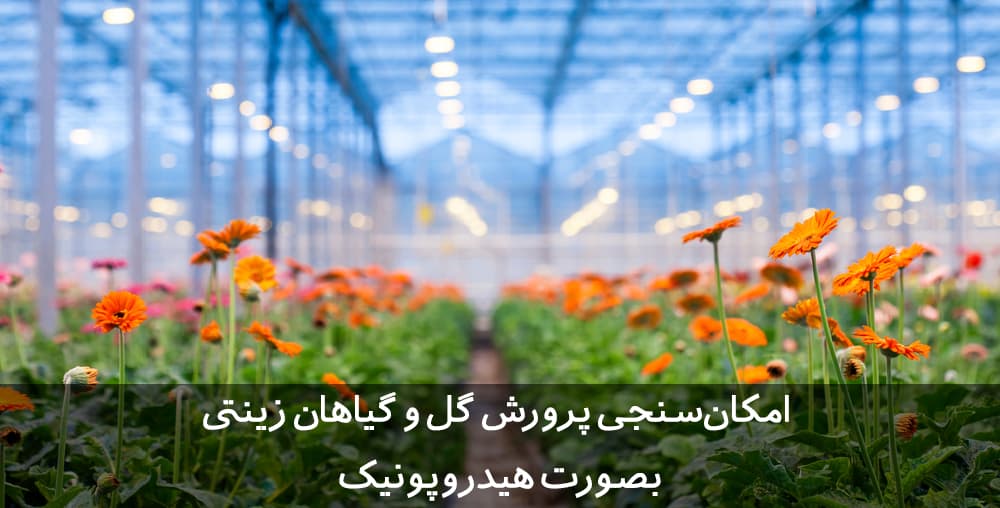 طرح توجیهی گل و گیاه زینتی | گلخانه گل رز و آنتوریوم | کشت هیدروپونیک