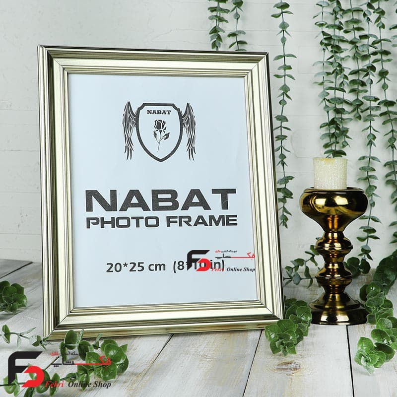 قاب عکس 25*20 کد330 بژ