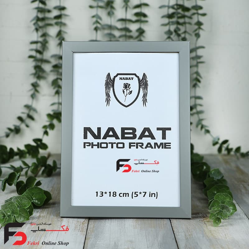 قاب عکس 18*13 کد209 طوسی