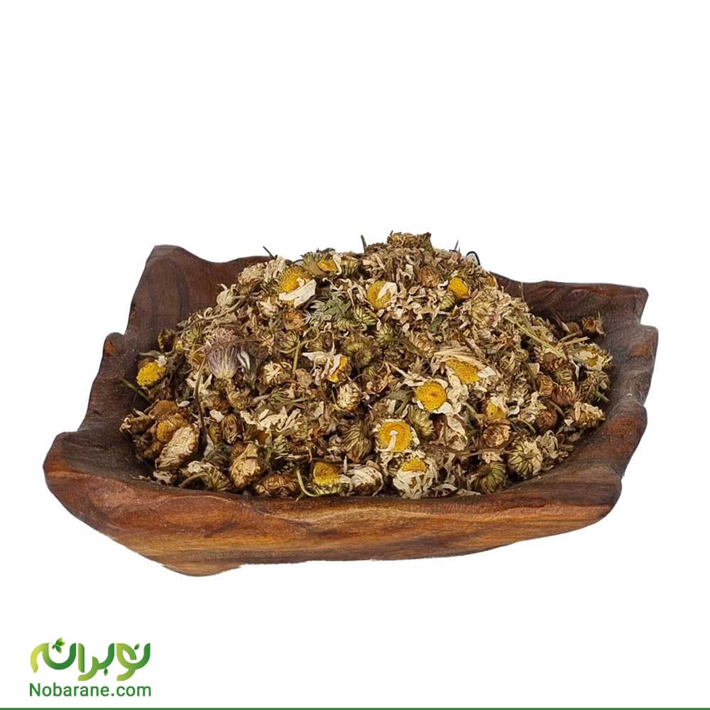 بابونه خشک اردبیلی (بابونه گل درشت)