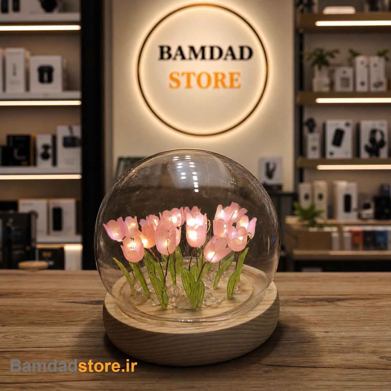 چراغ خواب دشت لاله حبابی