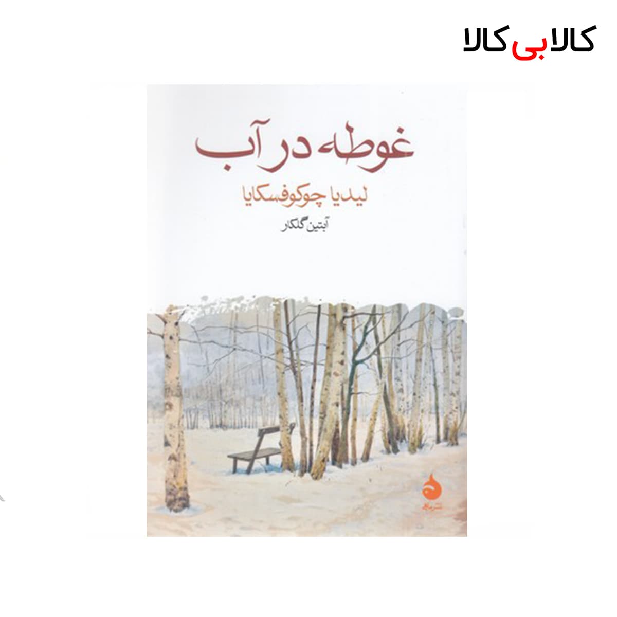 کتاب غوطه در آب اثر لیدیا چوکوفسکایا نشر ماهی