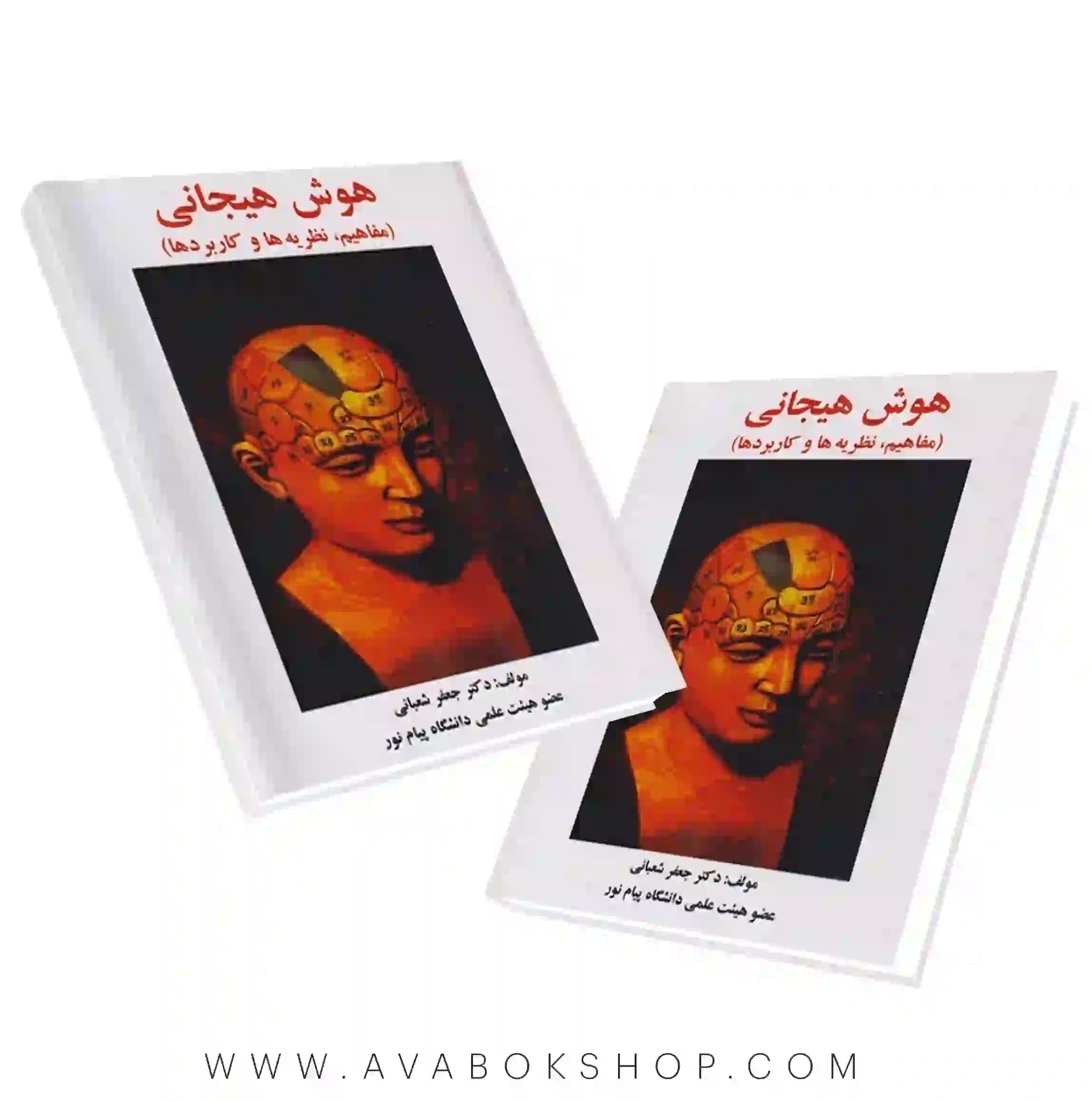 کتاب هوش هیجانی مفاهیم،نظریه ها و کاربردها انتشارات ساوالان
