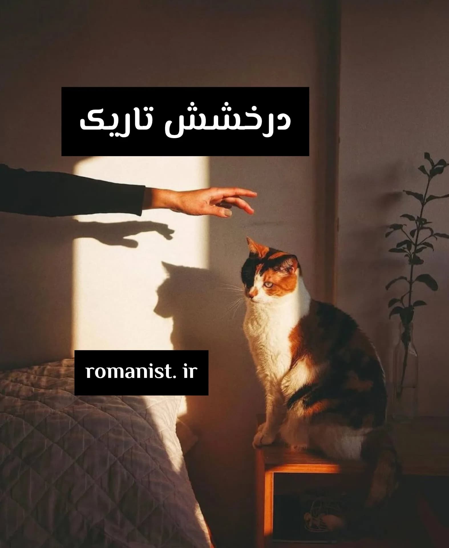 دانلود رمان درخشش تاریک اثر تهمینه