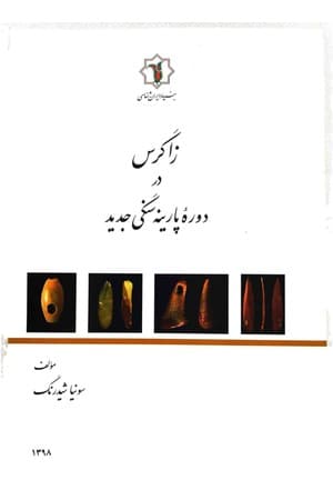 دانلود PDF کتاب زاگرس در دورهٔ پارینه‌سنگی جدید اثر سونیا شیدرنگ