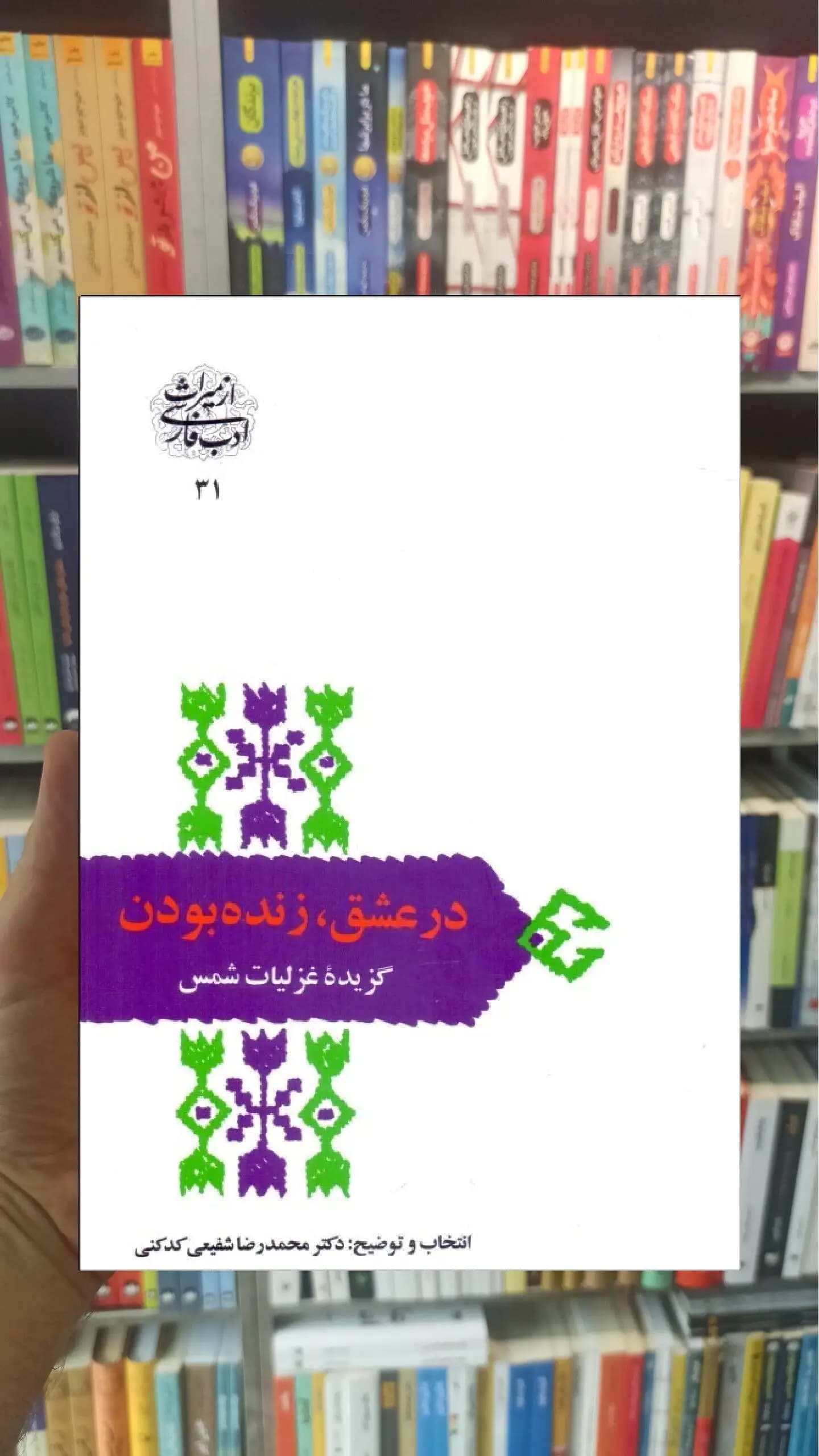 در عشق زنده بودن مولانا سخن