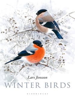دانلود کتاب پرندگان زمستانی