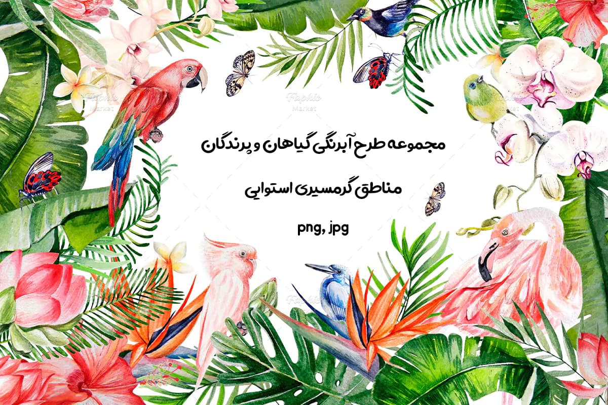 کلیپ آرت آبرنگی گیاهان و پرندگان گرمسیری و پترن بدون درز