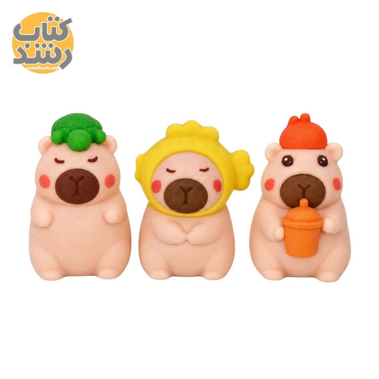 پاک کن فانتزی طرح کاپی بارا بسته 3 عددی