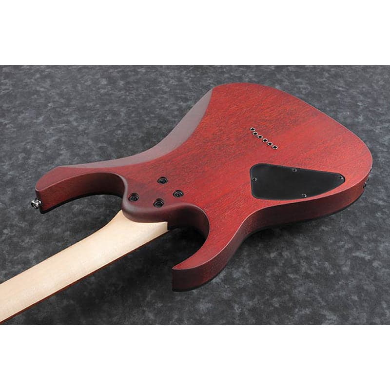 گیتار الکتریک Ibanez RG421PB-CHF — تصویر ۳