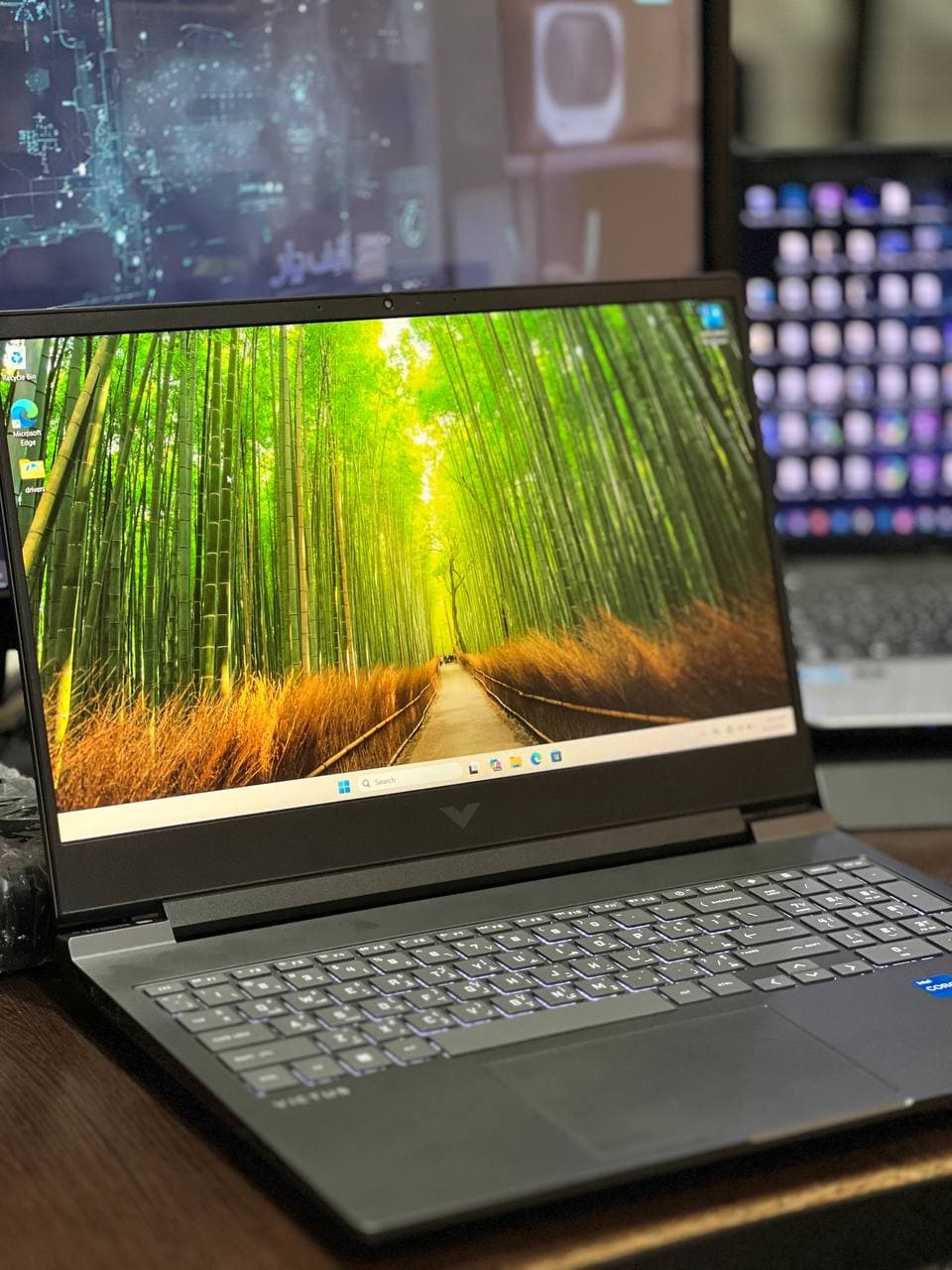 لپ تاپ HP Victus 16-r1066ne | Core i5-14450HX | RAM 16GB | SSD 1TB | RTX 3050 6GB