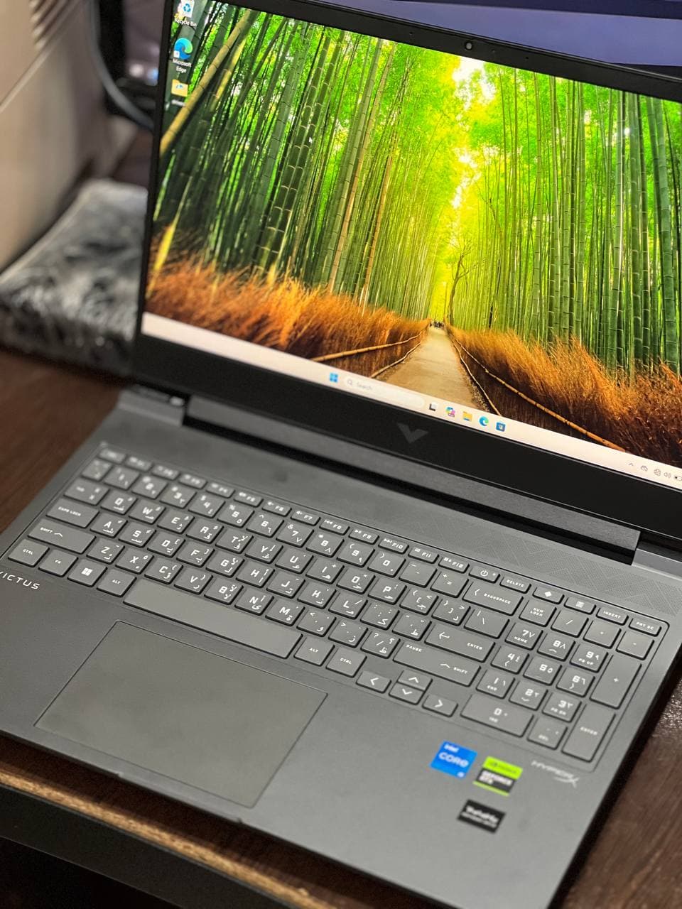 لپ تاپ HP Victus 16-r1066ne | Core i5-14450HX | RAM 16GB | SSD 1TB | RTX 3050 6GB — تصویر ۵