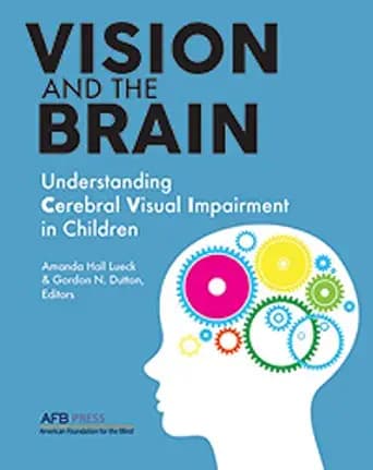 و دانلود نسخه کامل کتاب زبان اصلی Vision and the Brain: Understanding Cerebral Visual Impairment in Children PDF | دانلود کتاب خارجی