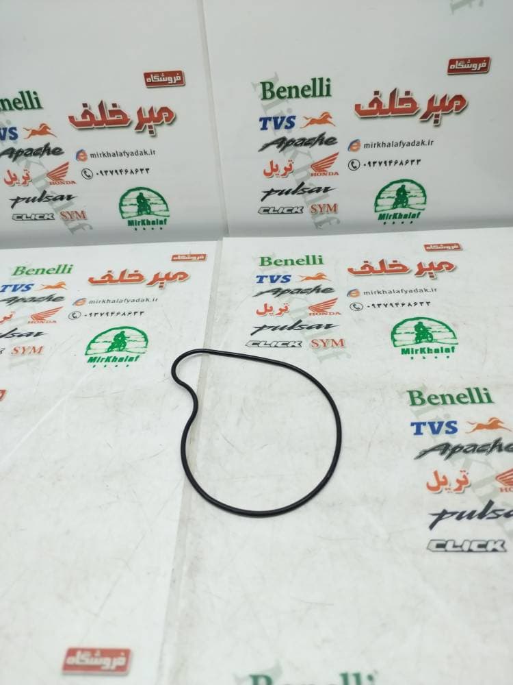 اورنگ درب واترپمپ موتور بنلی 250 تک سیلندر