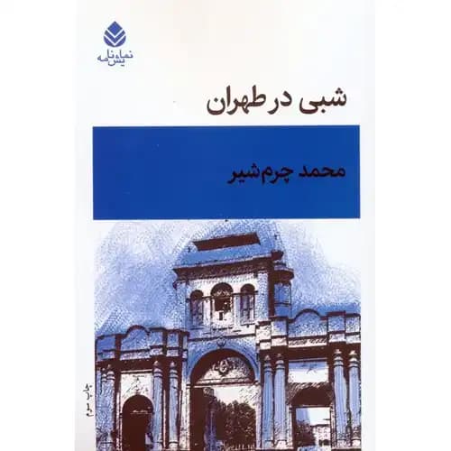 شبی در طهران
