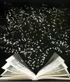 دانلود کتاب Telling Stories: The Craft of Narrative and Writing Life