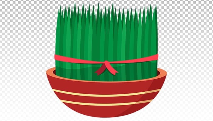 تصویر PNG طراحی فلت سبزه عید و نوروز
