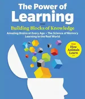 دانلود کتاب The Power of Learning Building Blocks Knowledge