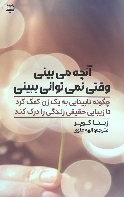 آنچه می بینی وقتی نمی توانی ببینی