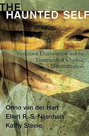 و دانلود نسخه کامل کتاب زبان اصلی The Haunted Self: Structural Dissociation and the Treatment of Chronic Traumatization (Norton Series on Interpersonal Neurobiology) PDF | دانلود کتاب خارجی