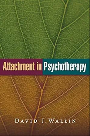 و دانلود نسخه کامل کتاب زبان اصلی Attachment in Psychotherapy PDF | دانلود کتاب خارجی