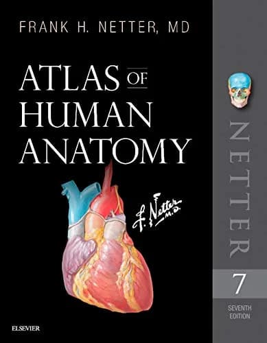 و دانلود نسخه کامل کتاب زبان اصلی Atlas of Human Anatomy E-Book: Digital eBook (Netter Basic Science) 7th Edition PDF | دانلود کتاب خارجی