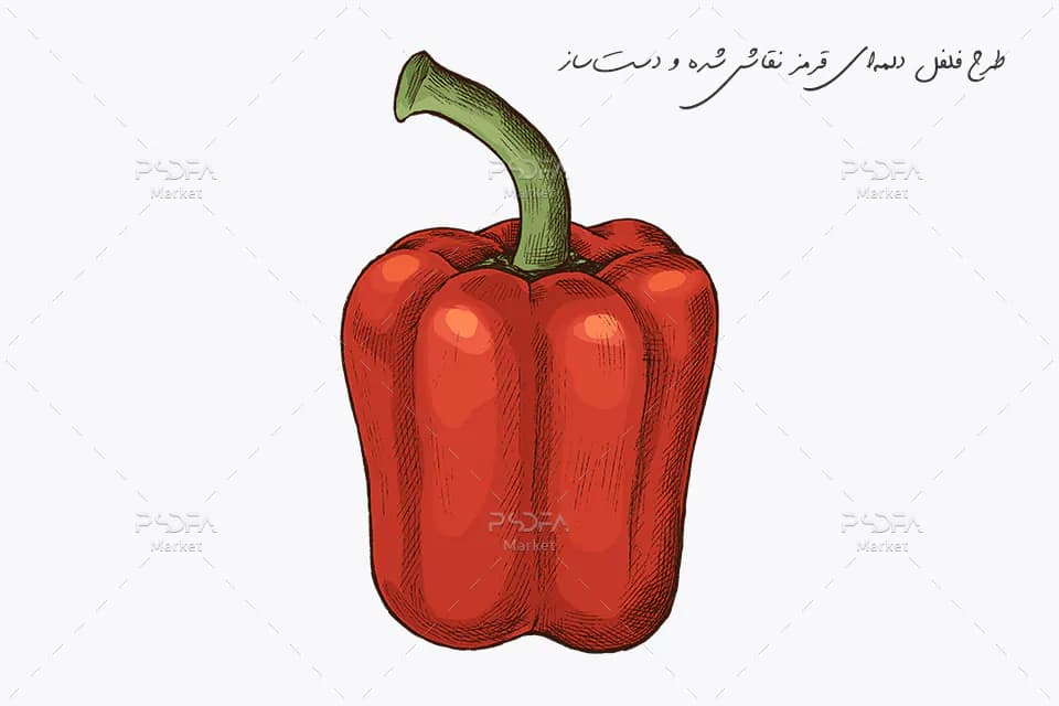طرح فلفل دلمه‌ای قرمز نقاشی شده دست ساز و ریسو PSD