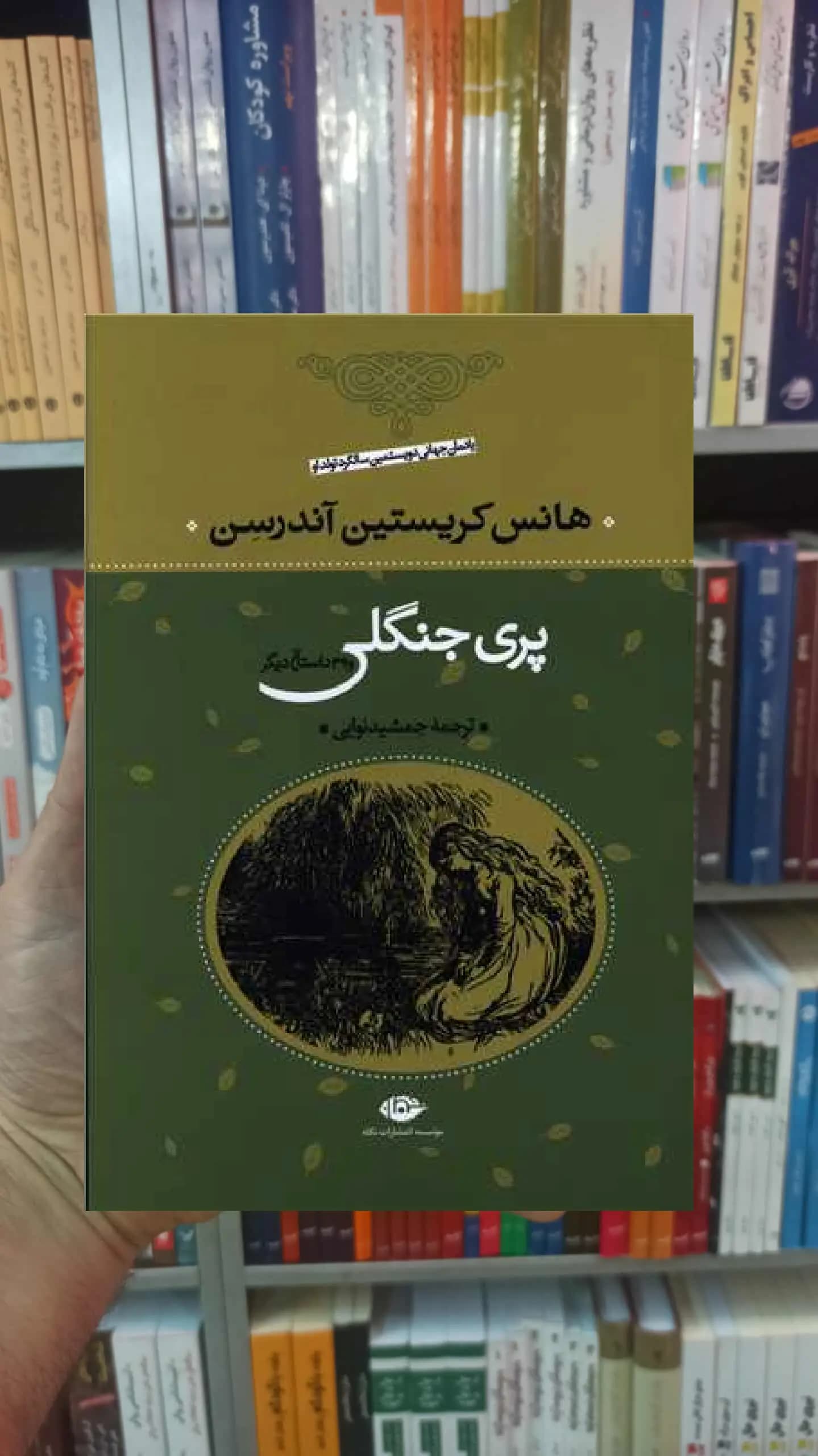 پری جنگلی و 39 داستان دیگر کریستین آندرسن نگاه