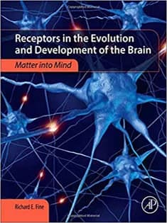 دانلود کتاب Receptors in the Evolution and Development of the Brain