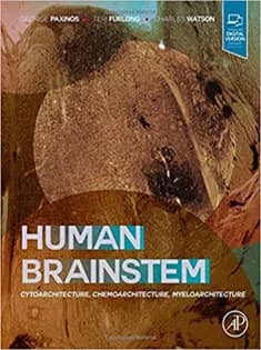 دانلود کتاب Human Brainstem