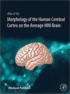 دانلود کتاب Atlas of the Morphology of the Human Cerebral Cortex on the Average MNI Brain
