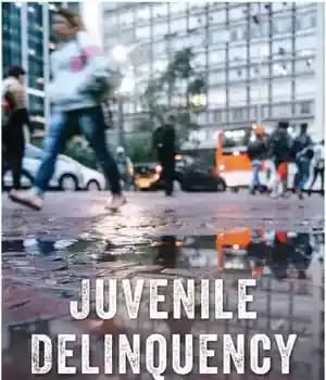 دانلود کتاب Juvenile Delinquency: Why Do Youths Commit Crime