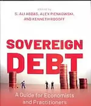 دانلود کتاب Sovereign debt : a guide for economists and practitioners